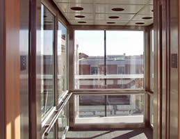 木飾面電梯裝潢觀光電梯