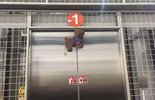 模擬寵物狗被電梯卡住