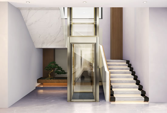 曳引龍門架小型家用觀光電梯